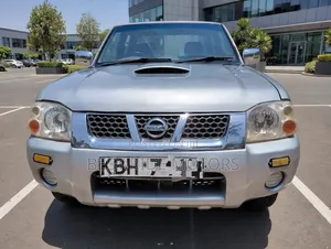 Nissan Hardbody 2009 Silver