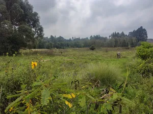 50x100,Karai Kikuyu Freehold, Title Deed, Water, Electricity, KES 3M.