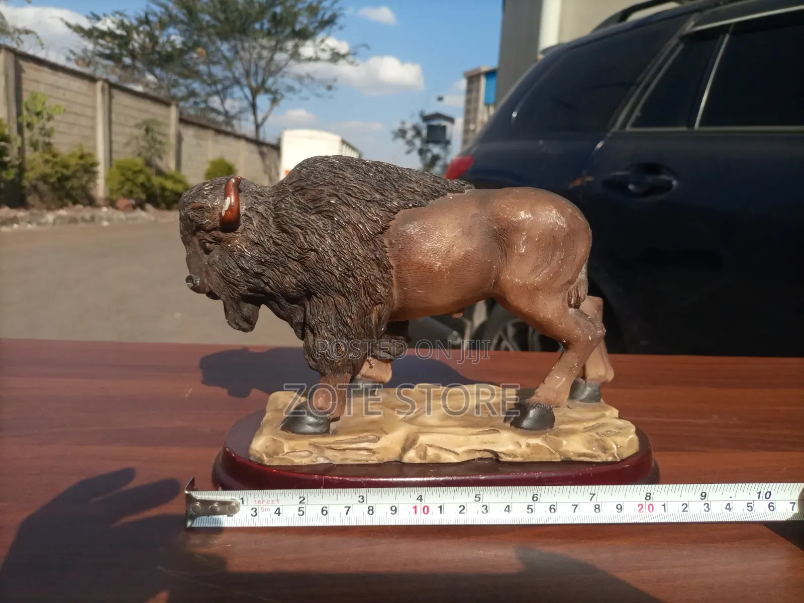 American Bison