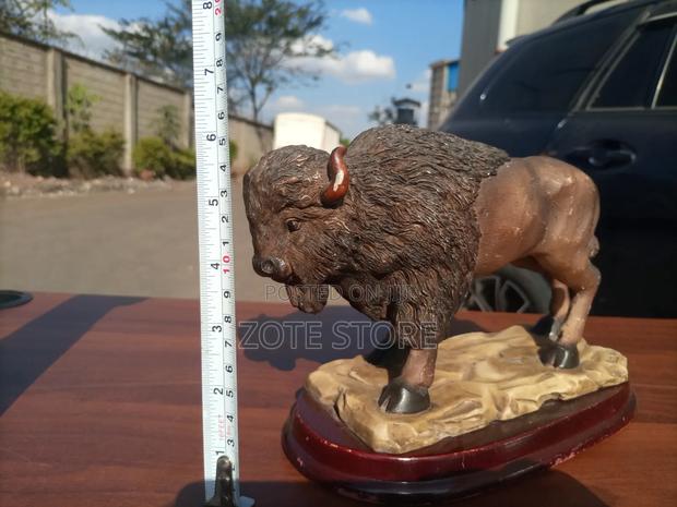 American Bison - thumbnail 2