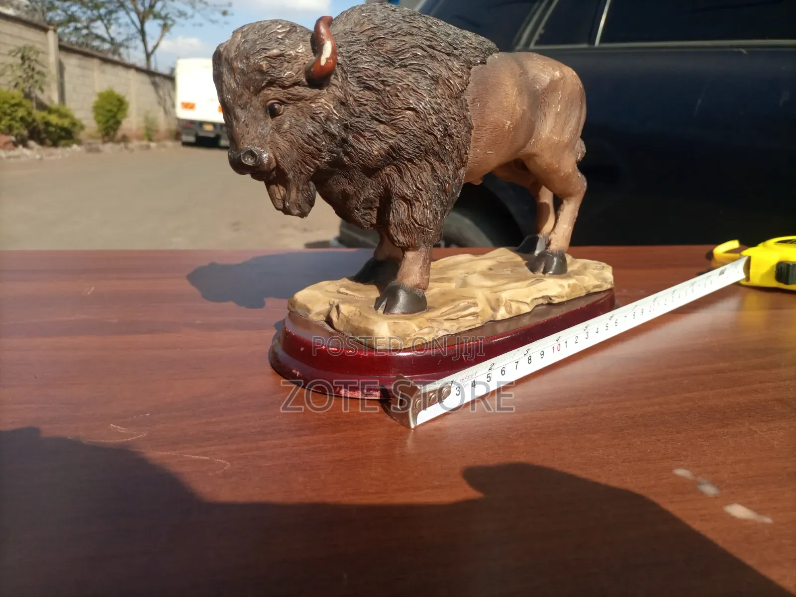 American Bison