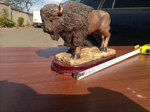 American Bison - thumbnail 10