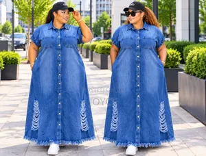 Short Sleeved Denim Dress