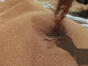 Selling Barley and Wheat
