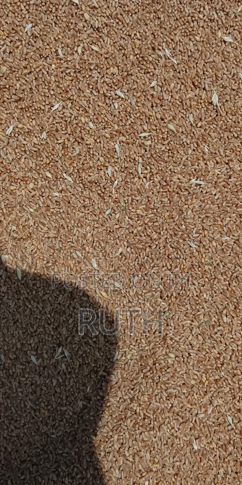 Selling Barley and Wheat