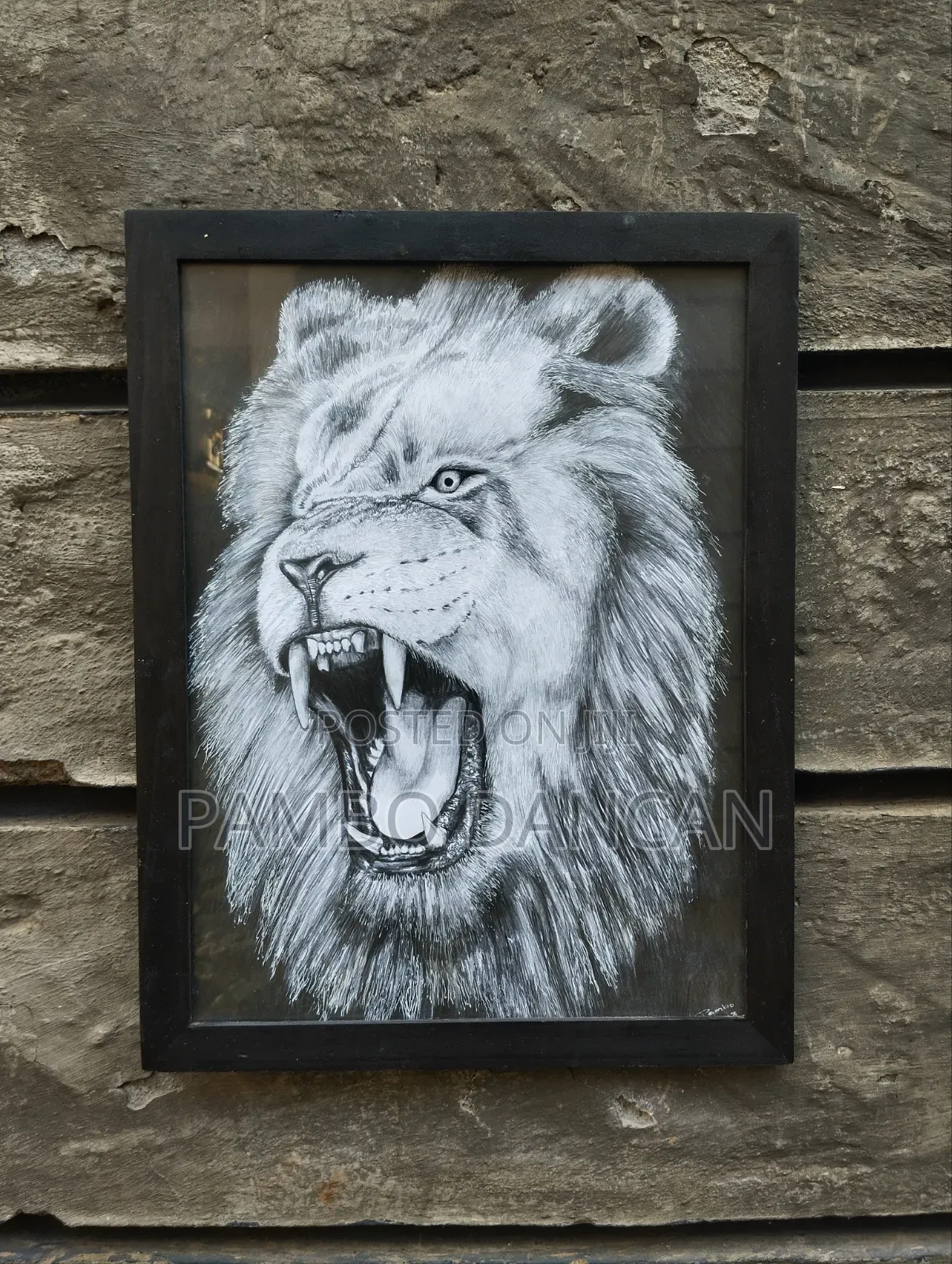 Lion Drawing
