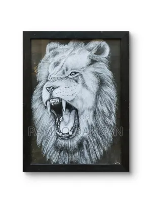 Lion Drawing