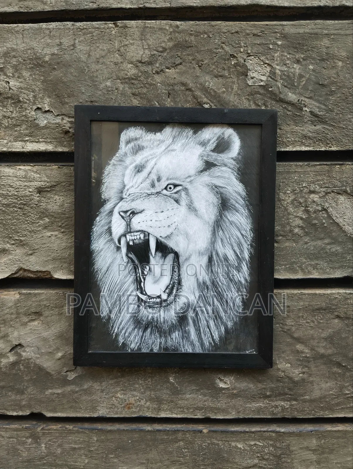 Lion Drawing