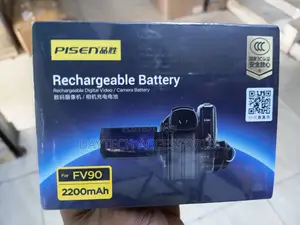 Pisen Camera Battery & Charger - Black