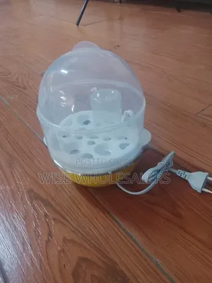 Electric Egg Boiler and Steamer With Transparent Lid