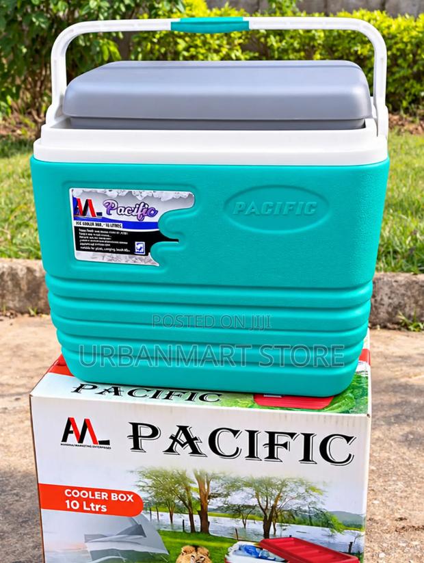 10L Compact Ice Cooler Box for Outdoor Refreshments - main view