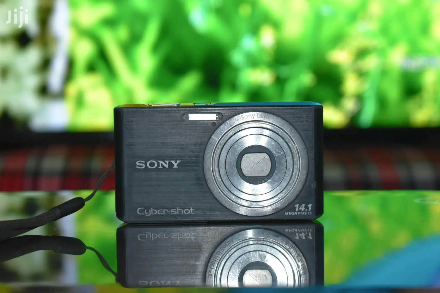 Sony Digital Camera With Optical Zoom