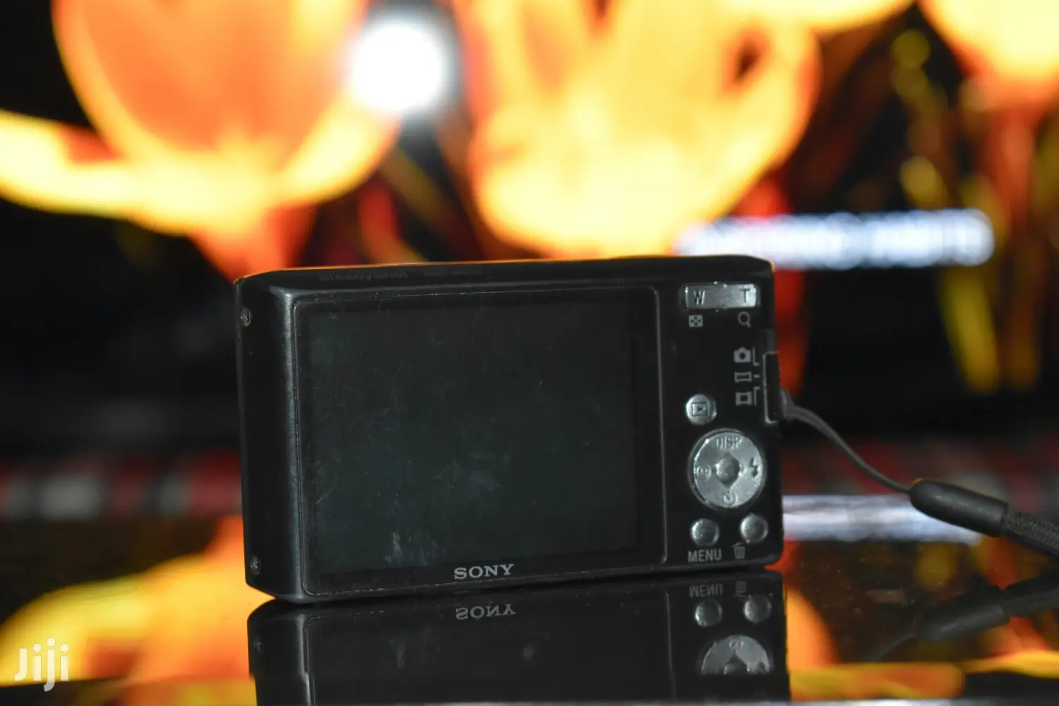 Sony Digital Camera With Optical Zoom