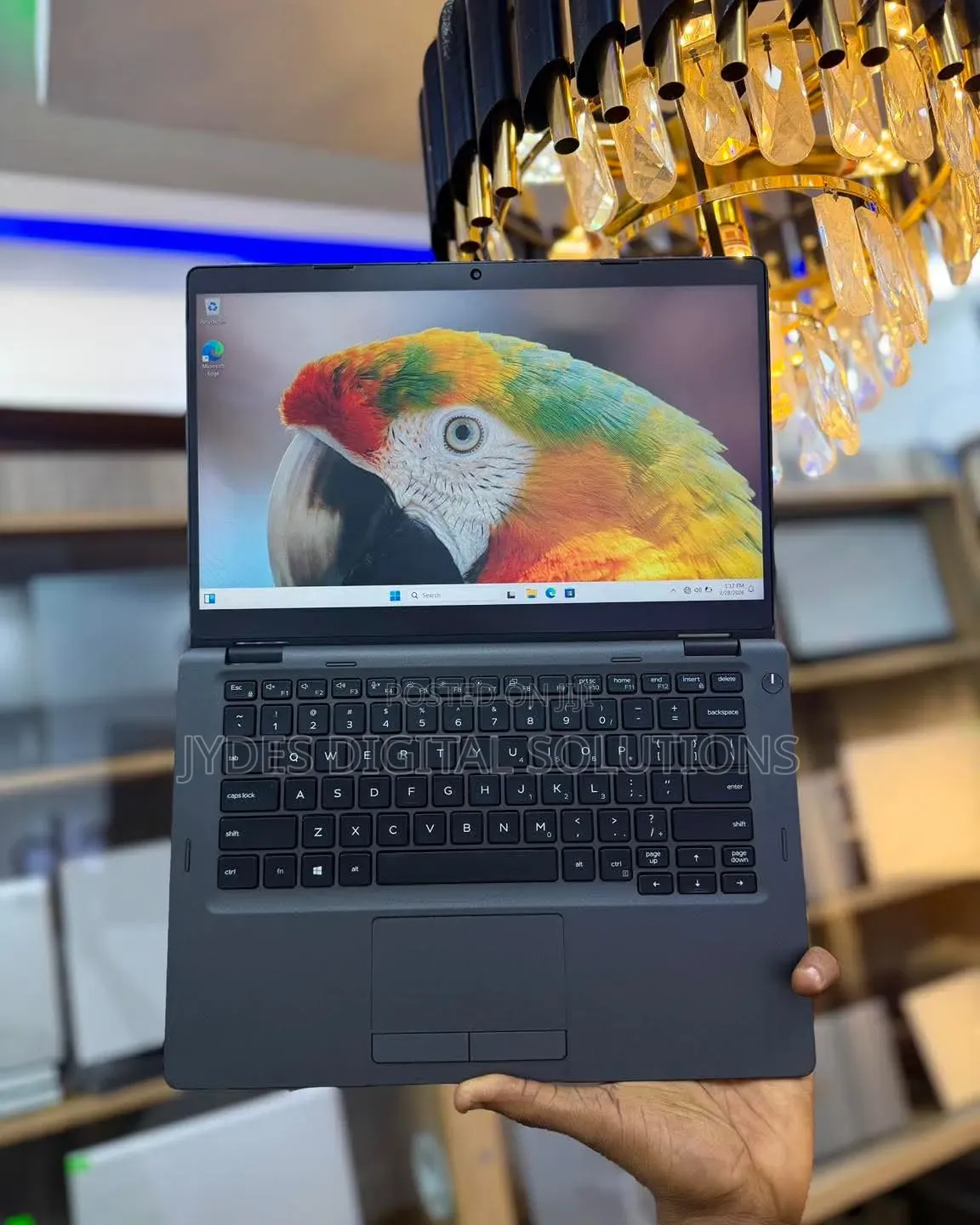 Laptop Dell Latitude 5300 8GB Intel Core i7 SSD 256GB