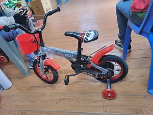 Kids Bicycle With Training Wheels