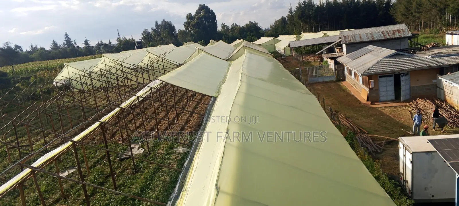 Wooden Greenhouse Installation