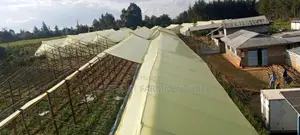 Wooden Greenhouse Installation