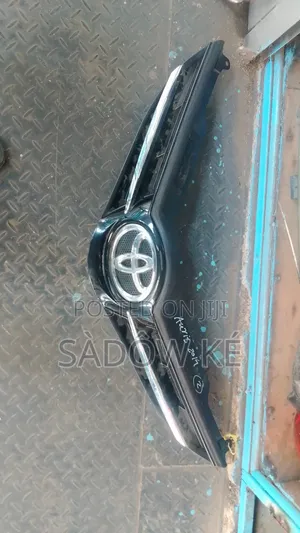 Auris Grille