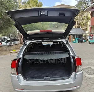 Toyota Corolla Fielder 2013 Silver