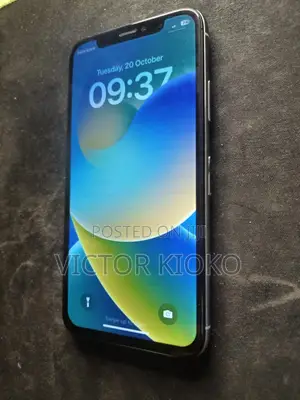 Apple iPhone X 256 GB White