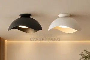Lunawave Led Ceiling Light