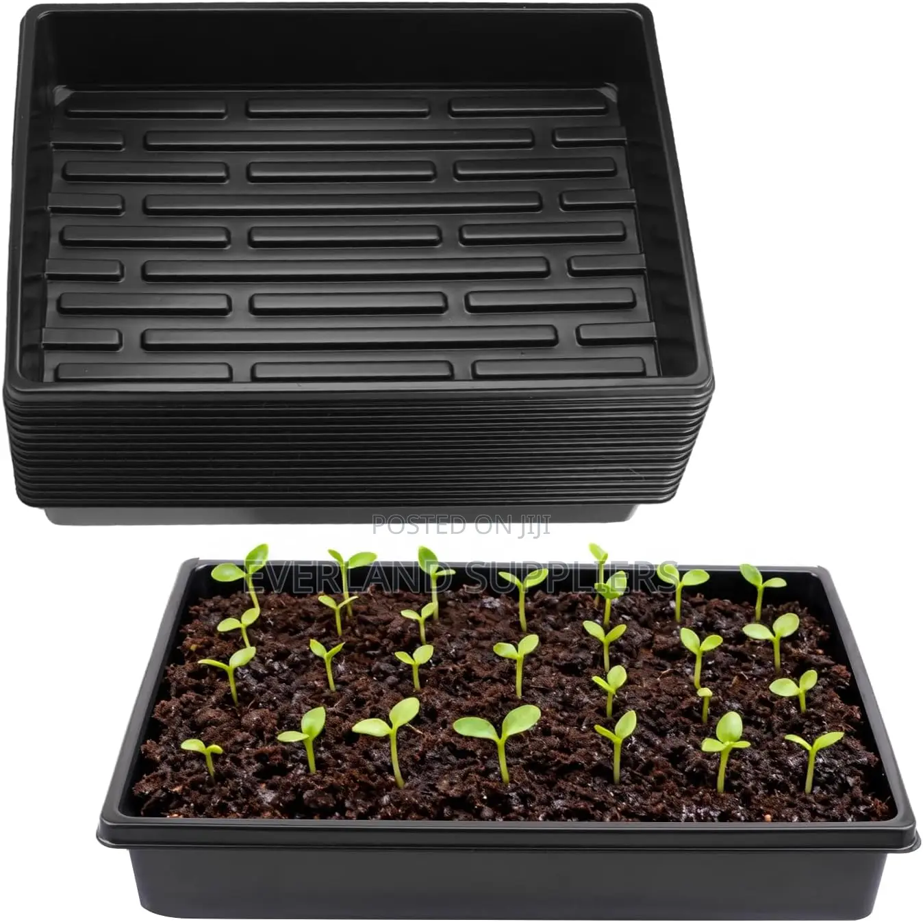 Durable Hydroponic Growing Trays - No Holes