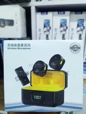 Q9 Compact Dual Clip Microphone With Charging Case for Type C