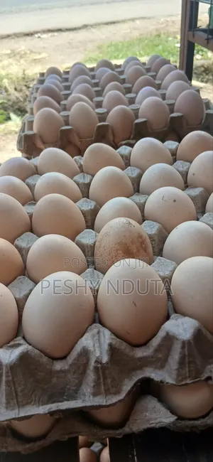 Kienyeji Eggs