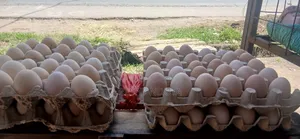 Kienyeji Eggs
