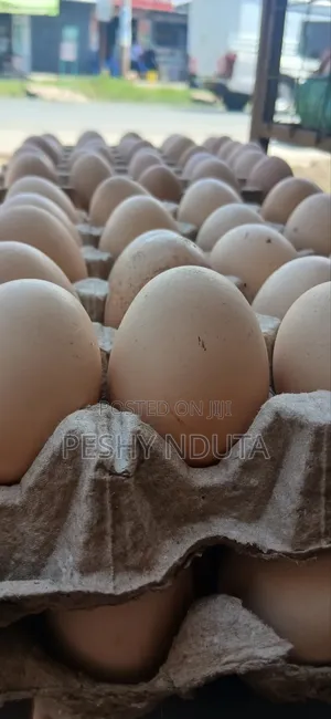 Kienyeji Eggs
