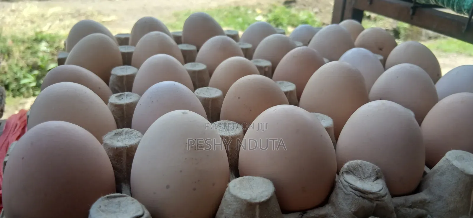 Kienyeji Eggs
