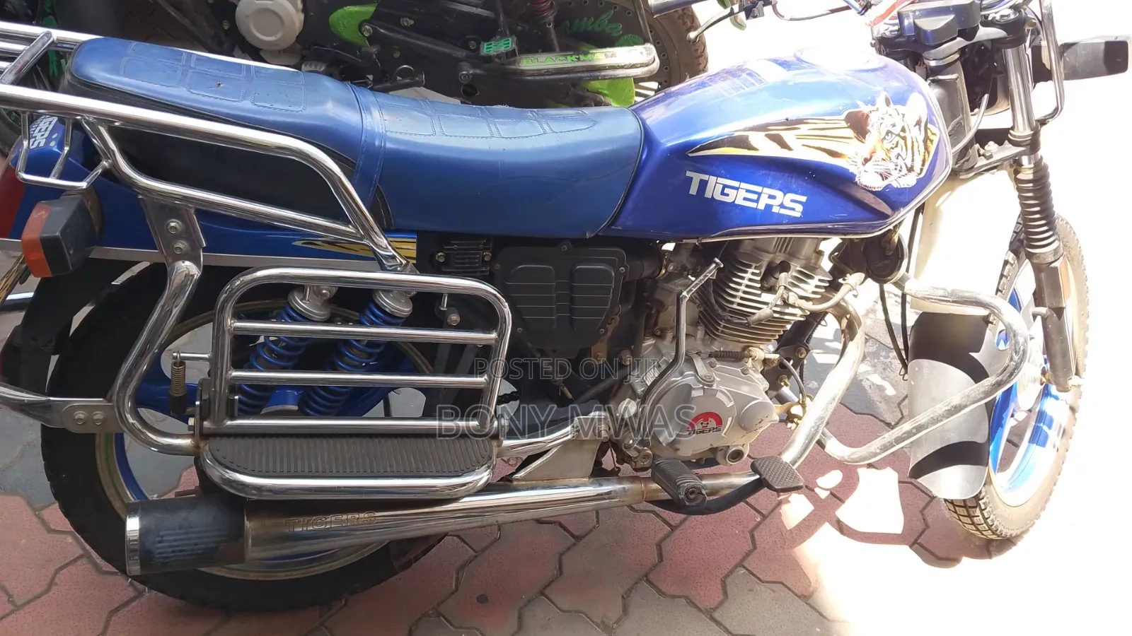 Captain CP175 2022 Blue