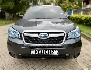 Subaru Forester 2013 Gray