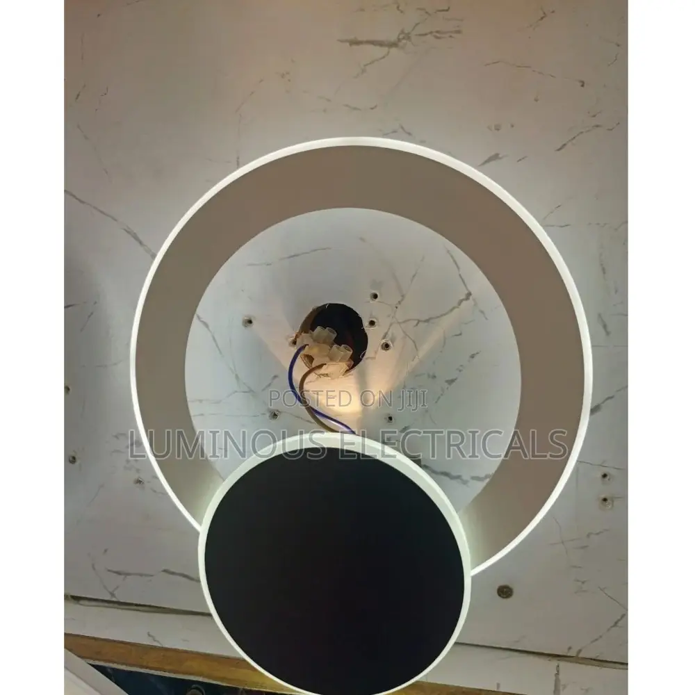 Dual-Circle LED Wall Lamp Elegant Black and White Round Light