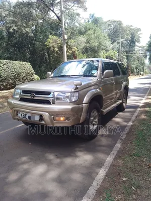 Toyota Hilux 2001 Gold