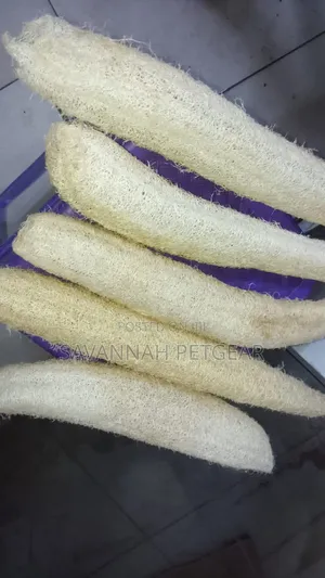Loofah Sponges (Luffa Sponge Gourds)plant-Based Biodegradable Scrubber