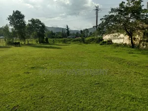 Half Acre Plot for Sale in Kisumu Along Kisumu Busia Road