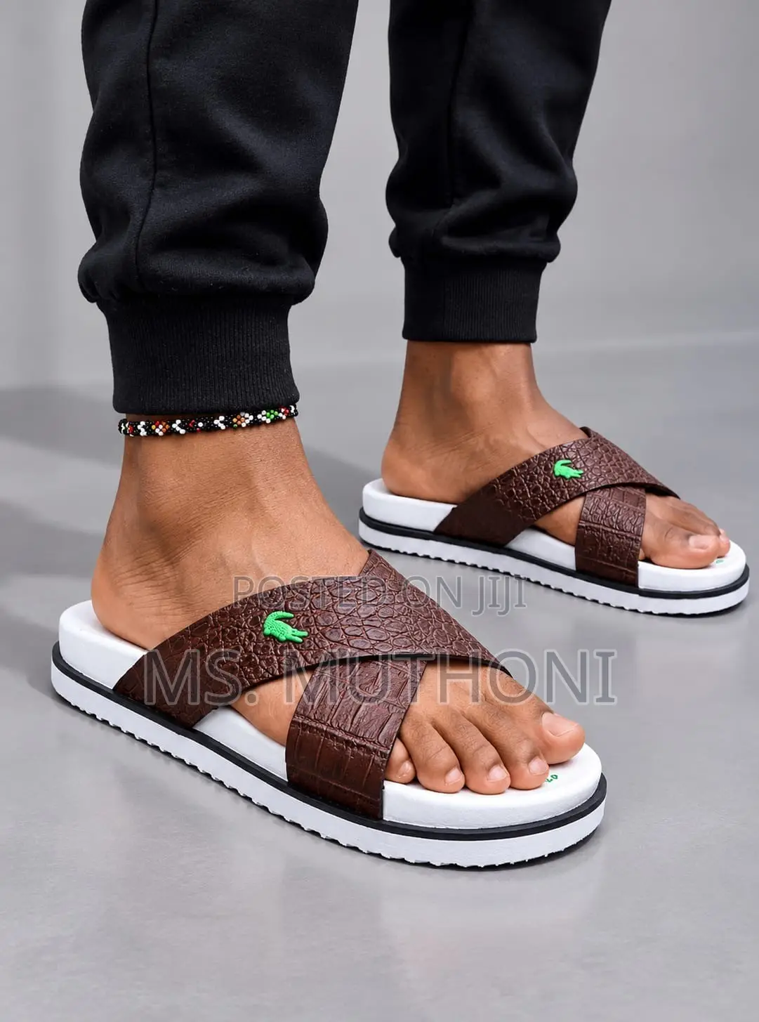 Coffee/ Blue Lacoste Normal Fit Sizes (39/40/41/42/43/44)