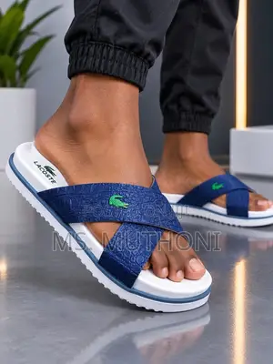 Coffee/ Blue Lacoste Normal Fit Sizes (39/40/41/42/43/44)