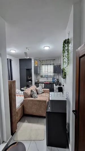 Studio Airbnb/Furnished Apartments