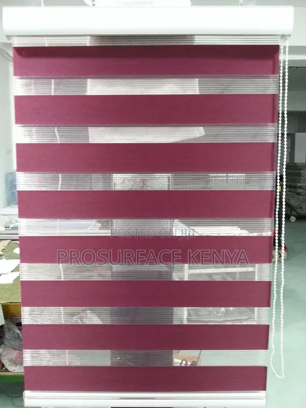 Zebra Blinds for Modern Living Room Windows
