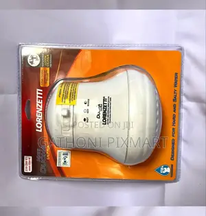 Original Lorenzetti Shower Head for Your Bathroom