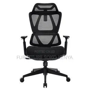 Office Chair : Split-Back Orthopedic Office Chair