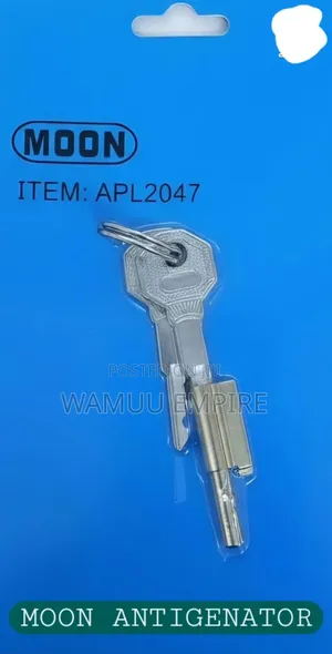 Moon Antigenator (Also Known as a Keyhole Blocker or Anti-Theft Key)