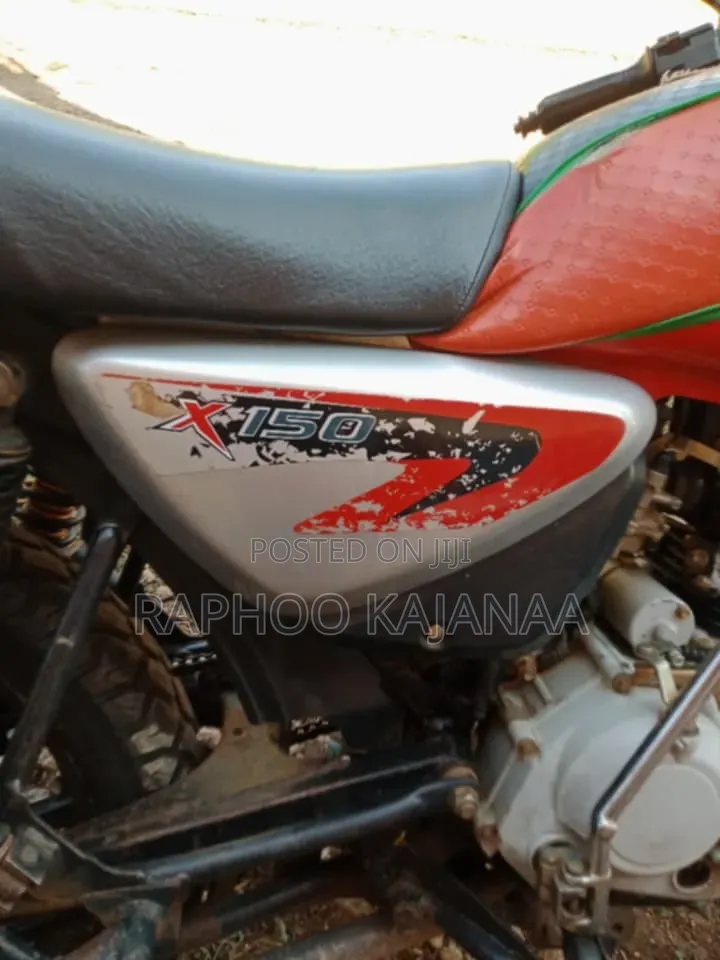 Captain CP150-10 2023 Red