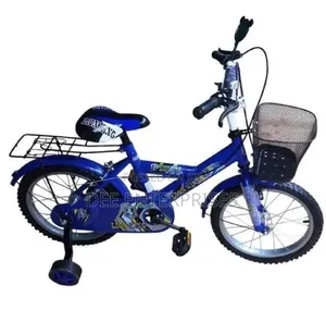 Lion King Bike Size 16