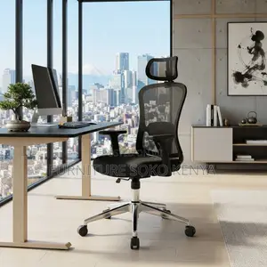 Office Chairs; Reclining Executive Seat | Ergonomic Design |
