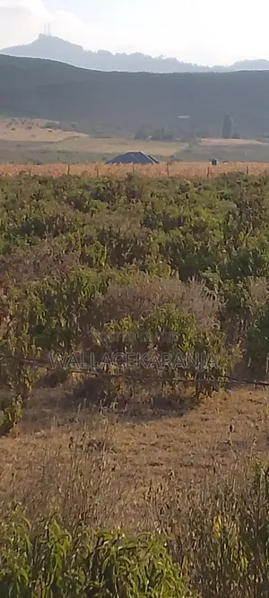 Plot for Sale in Nagum