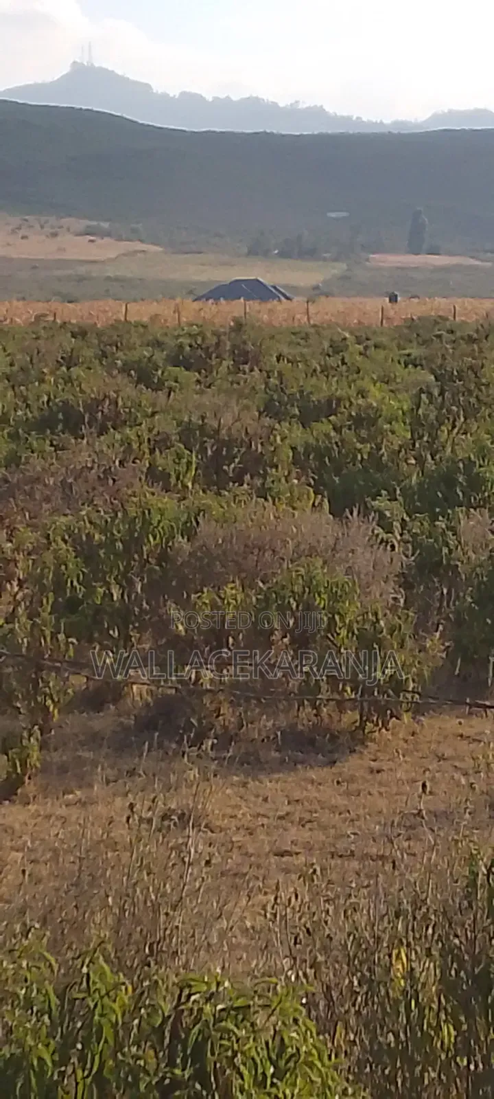 Plot for Sale in Nagum