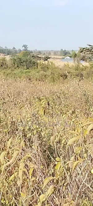 Plot for Sale in Nagum